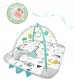 Ricokids Nessi 3-in-1 interaktyvus lavinamasis kilimėlis, 110 x 100 cm