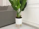 White Plant Pot on Wooden Legs, 14 cm