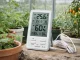 Meteorologinė stotelė su laidiniu zondu, higrometru ir LCD ekranu