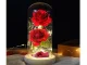 Amžinoji rožė po stiklu su LED apšvietimu (dvi raudonos rožės)