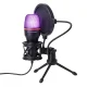 Wozinsky WM-W111 laidinis kondensatorinis žaidimų mikrofonas su stovu ir RGB apšvietimu, juodas