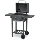 Anglinis kepsninė Berdsen BD-892 BBQChef, antracito spalvos