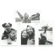 Momentinis fotoaparatas Easypix InstantFUN 10095, baltas