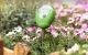 Soil Moisture Meter RainPoint DA01 Battery-Free Green