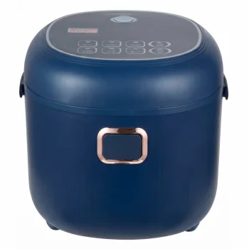 Automobilinis puodas ir ryžių virimo aparatas 12V/24V, 2L
