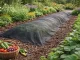 DIVODV Agrodanga nuo piktžolių 50g/m² 1.5m x 50m, Juoda