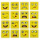 Montessori Logic Game for Kids - Emotion Blocks