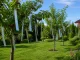 Reflective Bird Repellent Tape 50mm x 110m