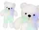Pliušinis meškiukas su RGB apšvietimu, 50 cm