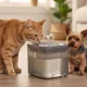 Automatic Pet Water Fountain for Dogs and Cats 2L with USB Pump and Filter