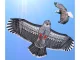 Flying Kite Eagle, 200cm