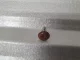 Tvirtinimo sraigtai profiliuotai metalinei tvorai 4.2x16 mm NBW74