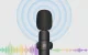 Puluz PU3151B Wireless Lavalier Microphone (2 pcs), USB-C, Black