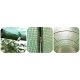 Plonos Polytunnel Greenhouse 10x6.5 ft šiltnamis-tunelis