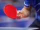 Table Tennis Set with 2 Ping Pong Paddles 3 Balls and Case