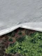 Agrodanga ORTOCLIMA PLUS 30 g/m², 2,40 x 10 m, balta