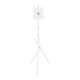 Maclean MC-181 W grindinis televizoriaus stovas (27-55\", 60kg, VESA 200x200)