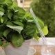 Watering Globe Irrigation Balls for Watering Flowers and Plants, 8 pcs.