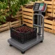 Elektroninės platforminės svarstyklės su atlošu 100kg LCD, pilkos