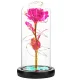 Eternal Rose in Glass LED, Pink