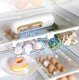 Refrigerator Ozone Generator, White