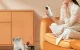 Rojeco RWJ-05 Smart Laser Cat and Dog Toy, White