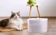 Petoneer Fresco EZ Smart Pet Fountain 2L UVC Sterilization