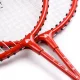 Nešiojamas badmintono rinkinys METEOR MOTION 2 su krepšiu