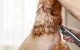 Pet Hair Clipper Oneisall RFC-676 2000mAh LCD