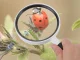 Classic Handheld Magnifying Glass for Reading 95mm 3x