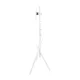 Maclean MC-181 W grindinis televizoriaus stovas (27-55\", 60kg, VESA 200x200)