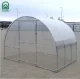 Šiltnamis KLASIKA EASY 3x2 m (6 m²), su 4 mm polikarbonatu