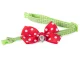 Adjustable Dog and Cat Collar with Bell, 24-34 cm (Assorted Colors)
