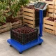 Elektroninės platforminės svarstyklės iki 100 kg, LCD, mėlynos