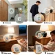 Sonoff Zigbee LCD išmanusis temperatūros ir drėgmės jutiklis