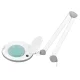 Lupa-lempa Elegante 6014 60 LED SMD 5D su stovu