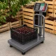 Elektroninės platforminės svarstyklės su atlošu 100kg LCD, pilkos