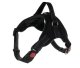 Pressure-Free Dog Harness, Size S