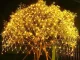LED girlianda tinklas 100 LED 1x2m šiltai balta