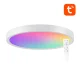 Išmanusis lubinis šviestuvas Gosund LB12, 30 cm, WiFi/Bluetooth, RGBCW, su nuotolinio valdymo pultu