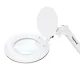 Elegante 6031 Kosmetologinė lempa su lupa, tvirtinama prie stalo, 3D