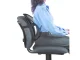 Ergonomic Back Support Cushion for Chair and Car Seat, Black