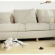 Fishing Rod With Suction Cup Cat Toy \"Bird\"