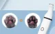 Gyvūnų kirpimo mašinėlių rinkinys Oneisall X2 + N5