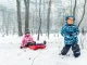 Plastic sled with backrest, brakes and pull rope, assorted colors