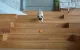 Cheerble Ball Sensor Play Ball Toy for Dog Cat, Orange