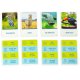 On the Trail Educational Animal Trivia Board Game for Kids 8+ Alexander