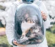 Folding Pet Cat Dog Travel Backpack Knapsack Rucksack Bag Case, 28-68x32x42cm, Black