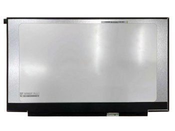 Extra Digital Boe 17.3" QHD 165Hz IPS matinis nešiojamojo kompiuterio ekranas