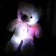 Pliušinis meškiukas su RGB apšvietimu, 50 cm